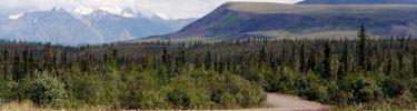 Scenery Along the Nabesna Road